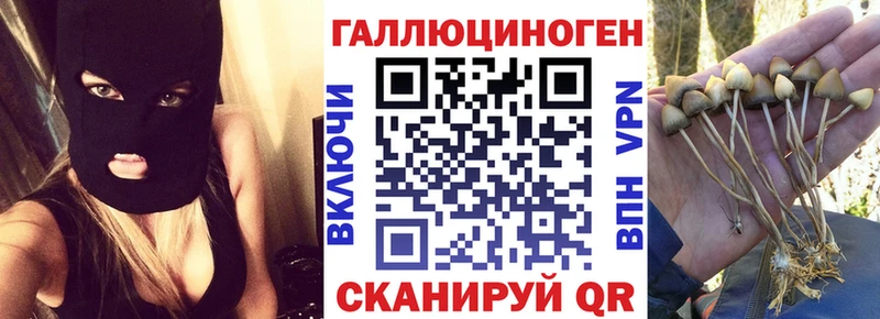 Псилоцибиновые грибы Psilocybine cubensis Купить где Белогорск